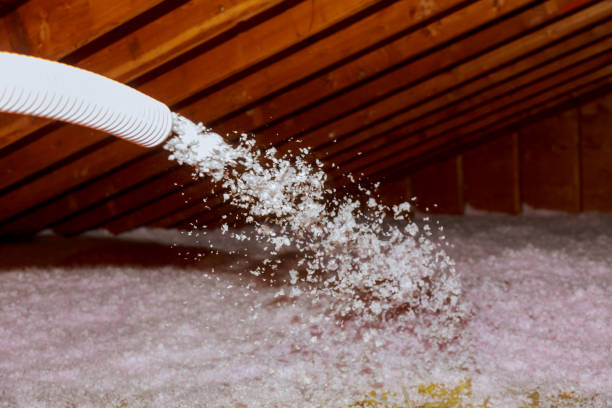 Best Professional Insulation Contractor  in Pistakee Highlands, IL