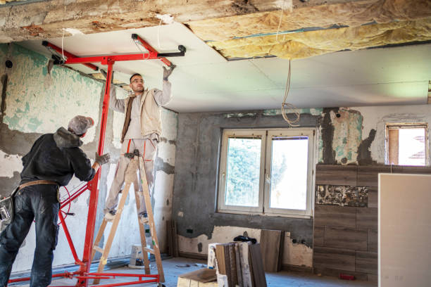 Best Insulation Contractor Near Me  in Pistakee Highlands, IL