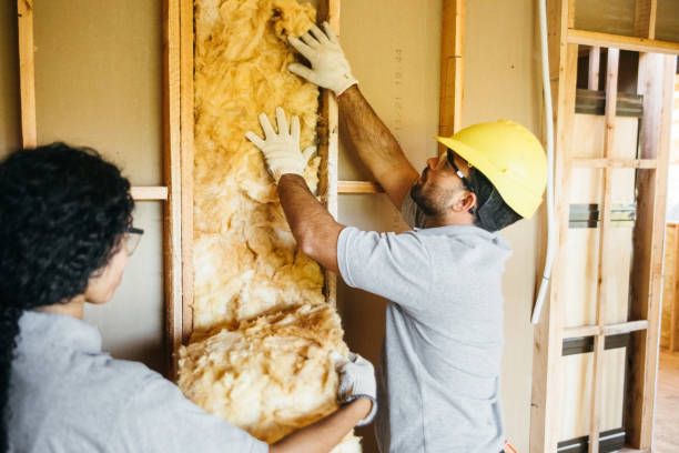 Attic Insulation Near Me in Pistakee Highlands, IL