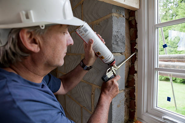 Best Insulation for New Construction  in Pistakee Highlands, IL