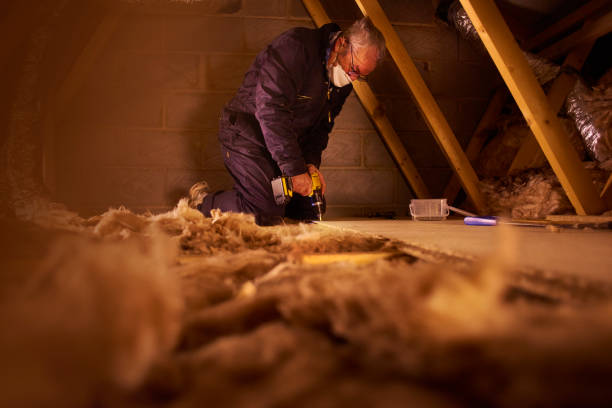 Best Garage Insulation Installation  in Pistakee Highlands, IL
